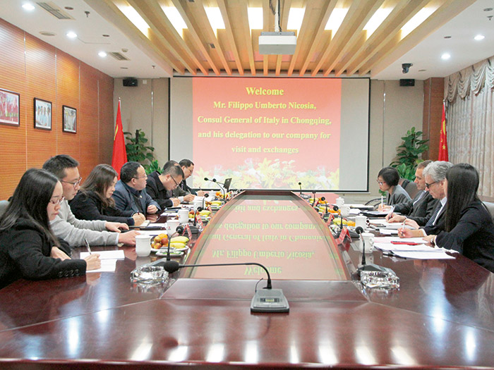  意大利駐重慶總領事倪飛一行蒞臨公司考察交流-超級電容板塊